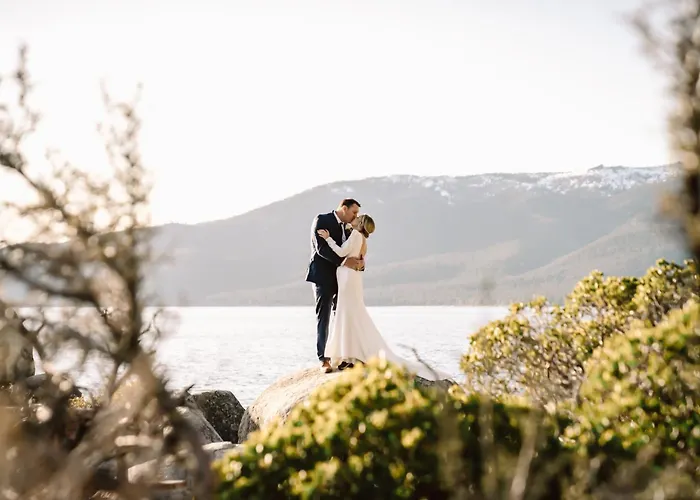 #Lazybear Tahoe Dreamy Escape